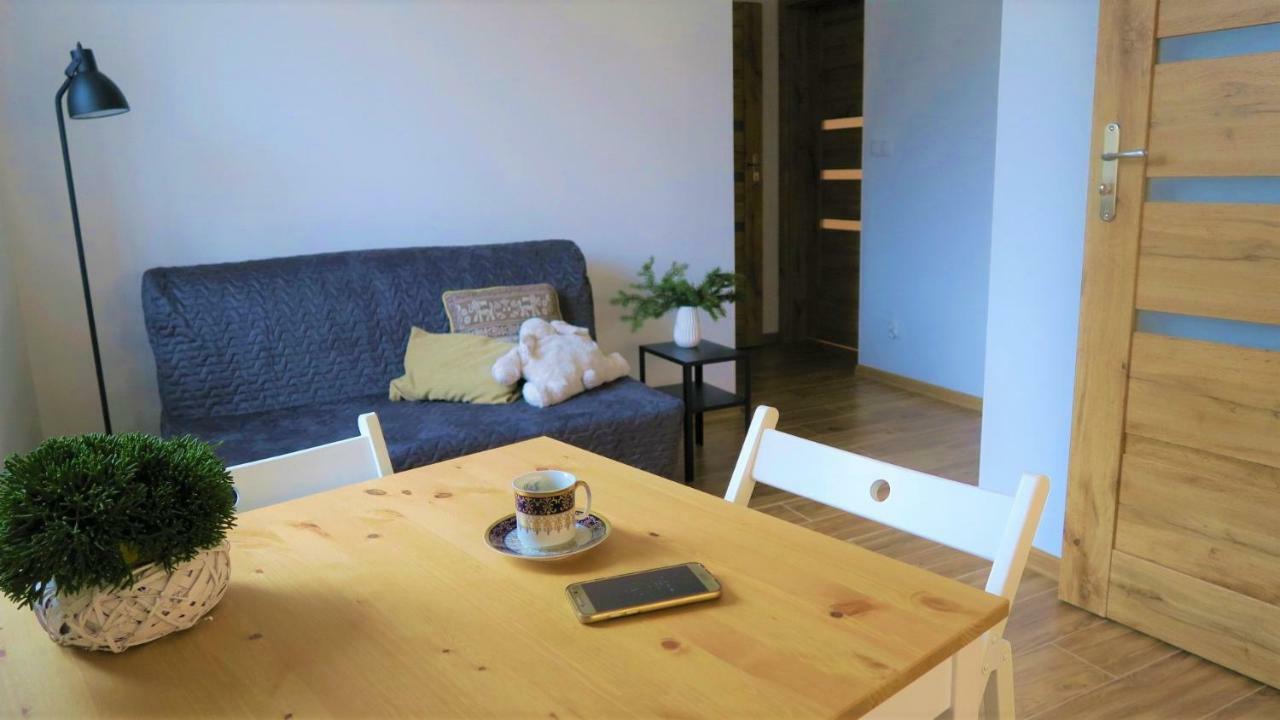 Apartamenty Siostra I Siostra Laziska  Extérieur photo